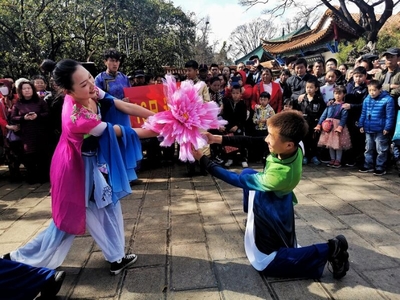 通海縣第十八屆迎春花街 繁花獻(xiàn)瑞，禮品花卉銷售成亮點(diǎn)