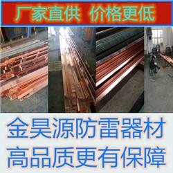 加工定做銅包鋼扁鐵 型號齊全，支持驗廠的專業之選